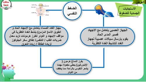 3) الضغوط النفسية
