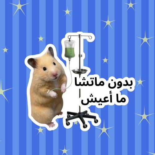 ستيكر بدون ماتشا ما اعيش