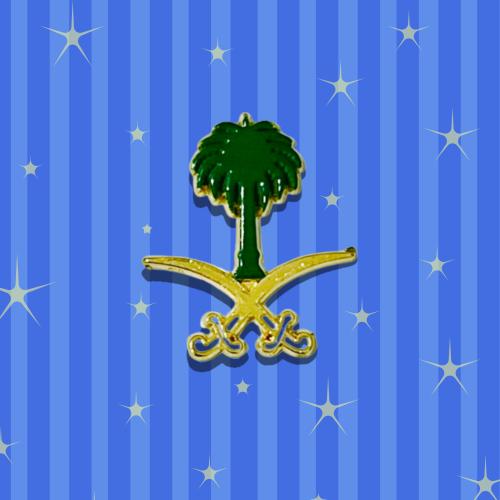 ستيكر حديد سيفين ونخلة