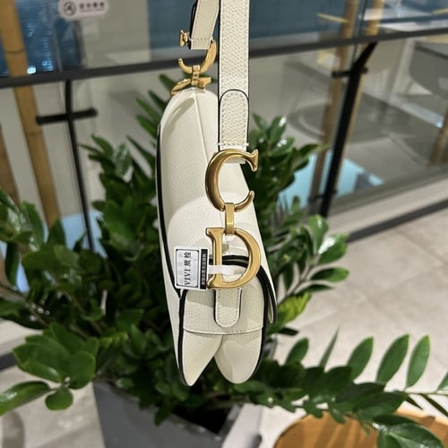 ديور ميني سادل