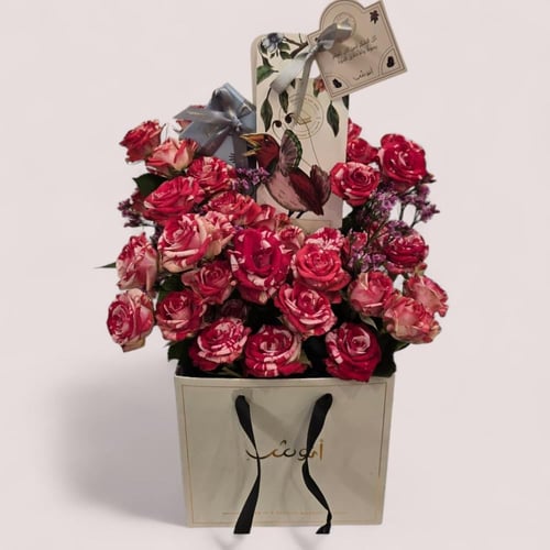 بوكس بار شوكلت انوش