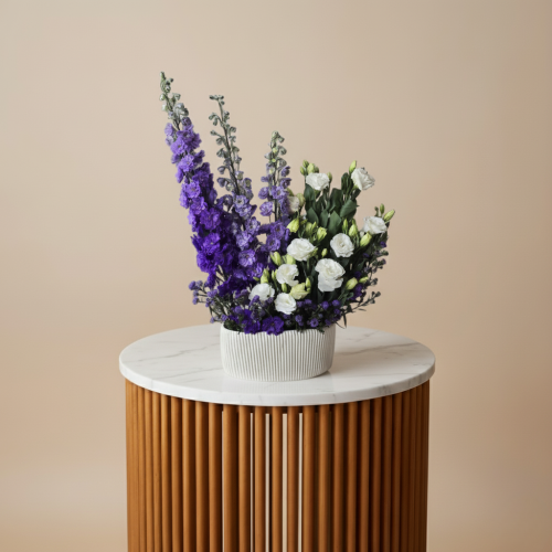 فازة ورد هولندي