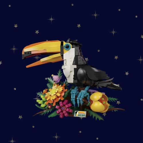 Toucan