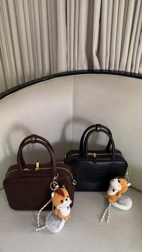 Miu Miu bag