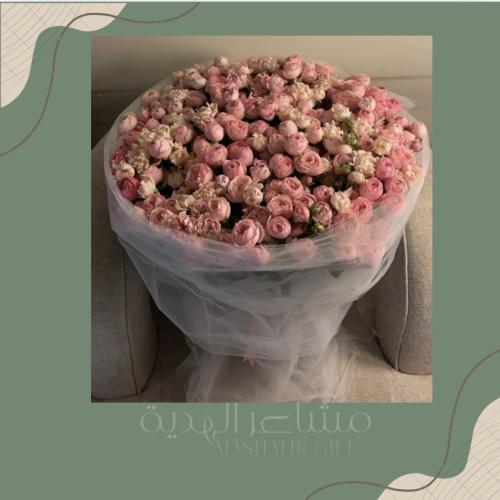 بيبي جاردن مكس بينك