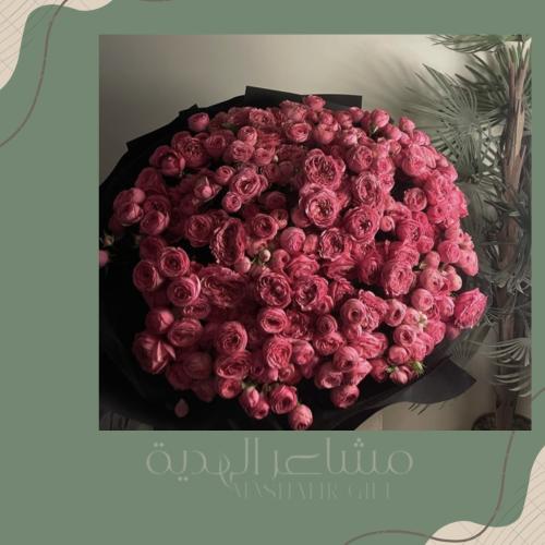 بيبي جاردن فوشي