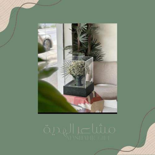 مسكة عروس طبيعي & هايبركوم