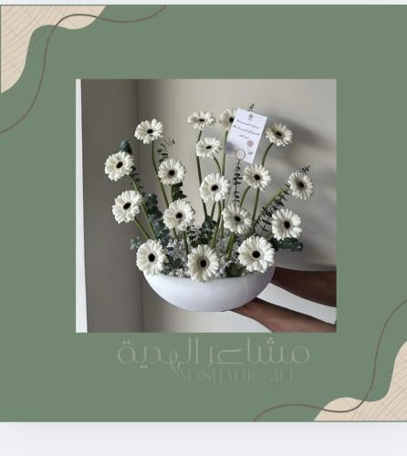 فازة جربيرا وايت