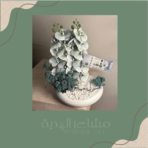 هدية مولود تقديم مبلغ مالي