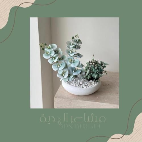 بيبي بلو اوركيد صناعي