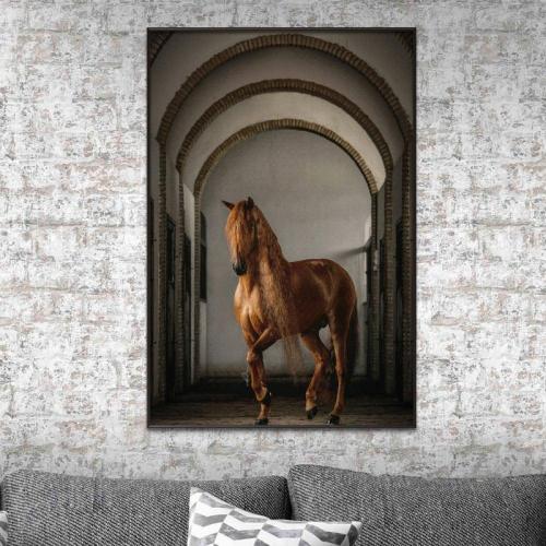 Canvas painting with horse design with frame