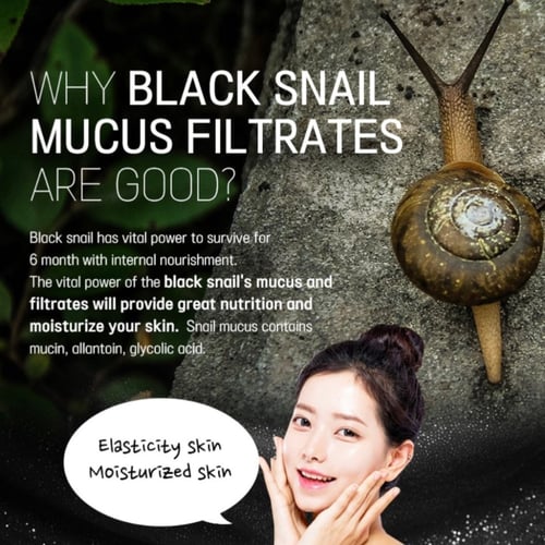 [EYENLIP] كريم العين بالحلزون الأسود 50 مل