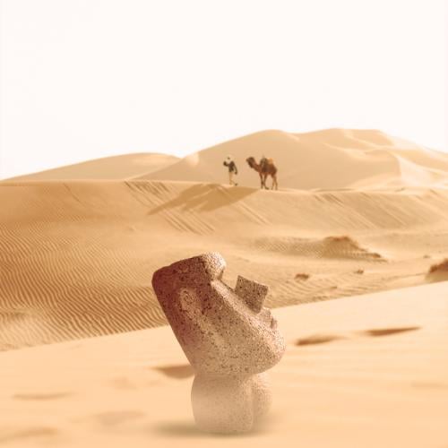 حامل النظاره