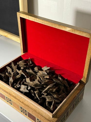 عود التايقر - نص كيلو