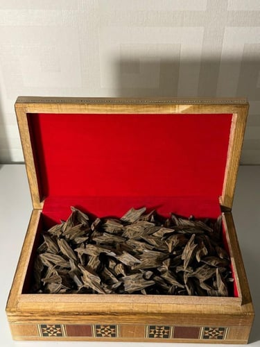 عود التايقر - نص كيلو