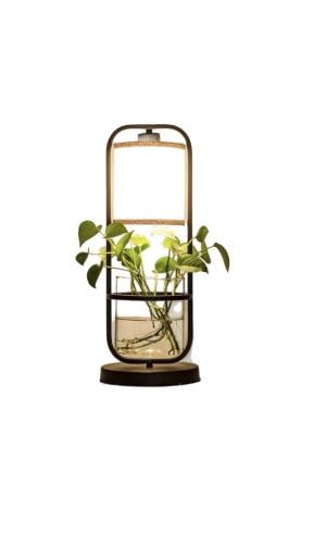 lamp