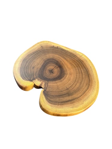 A trunk of a willow tree