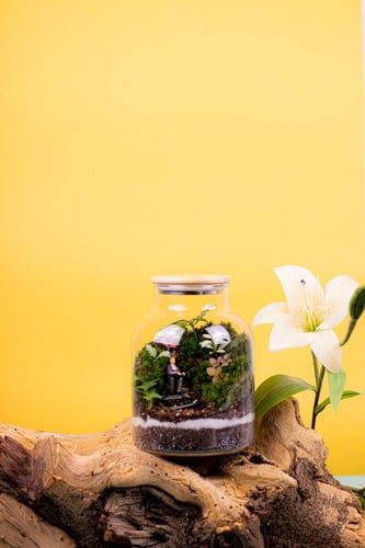 روح الطبيعه