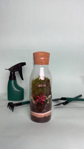 حديقة الالوان