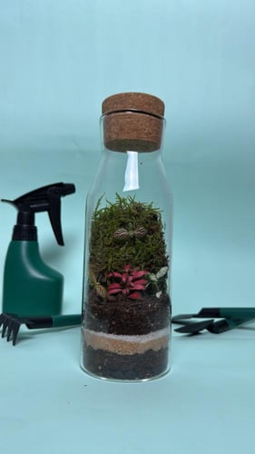 حديقة الالوان