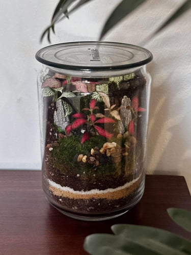 حديقة الوداد