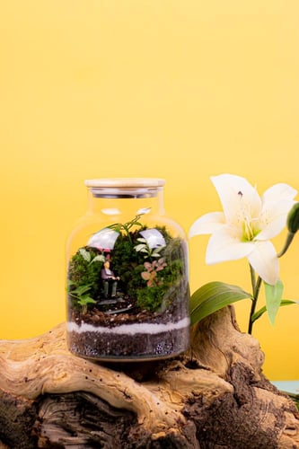 روح الطبيعه