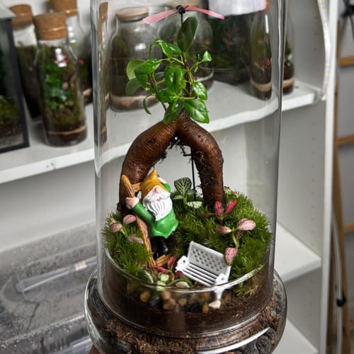 الملاذ الاخضر