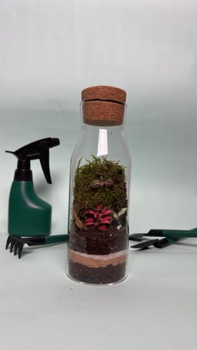 حديقة الالوان