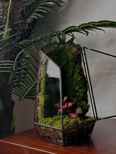 كرستالة الحياة