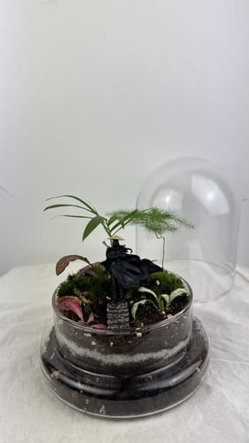 ظل الساموراي