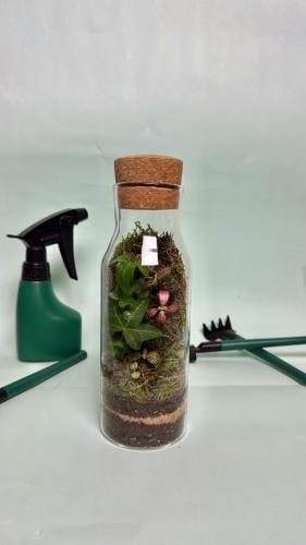 غابة الزجاج