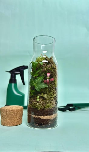 غابة الزجاج