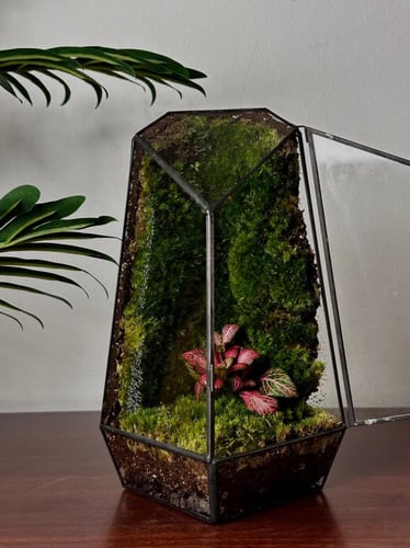 كرستالة الحياة