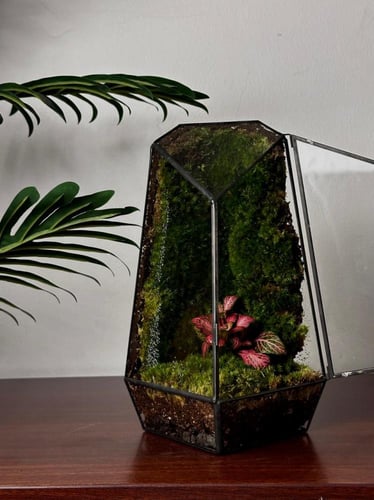 كرستالة الحياة