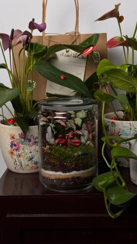 حديقة الوداد