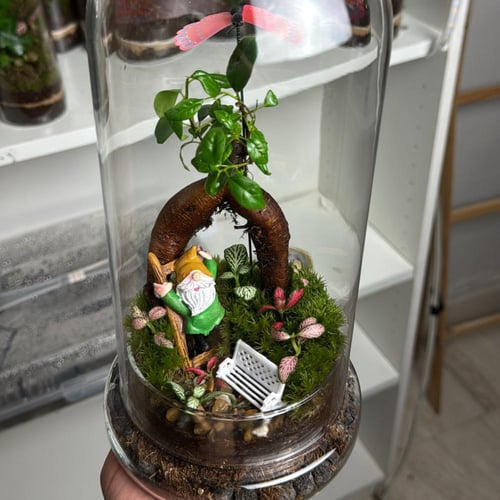 الملاذ الاخضر