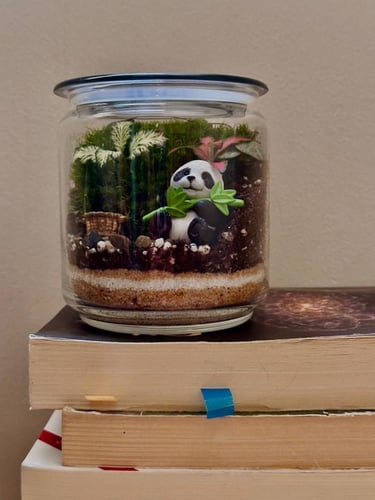 البانداء الهادئ