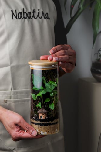 تيراريوم حجم متوسط