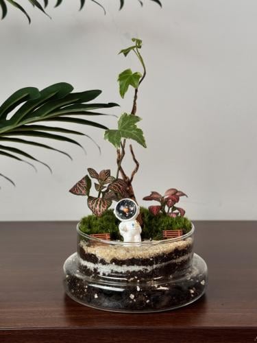 تيراريوم حديقة الفضاء