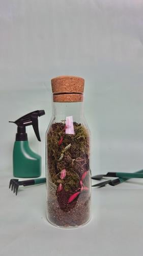 الحديقه الورديه