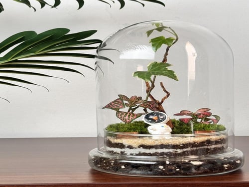 تيراريوم حديقة الفضاء