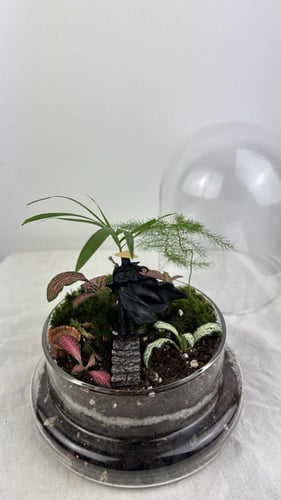 ظل الساموراي