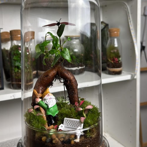 الملاذ الاخضر