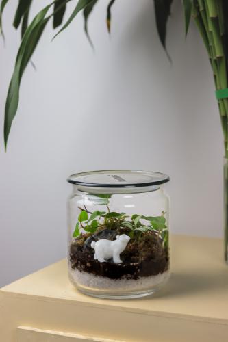 تيراريوم حجم متوسط