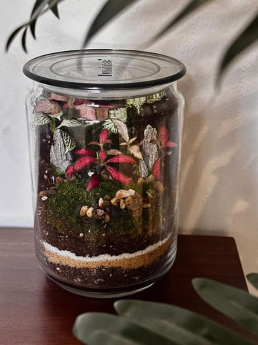 حديقة الوداد