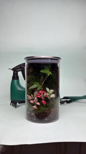 الحديقه المخمليه