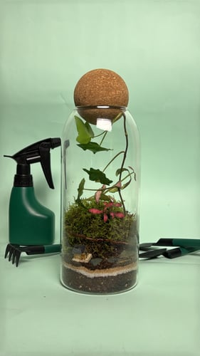 الحكايه المصغره