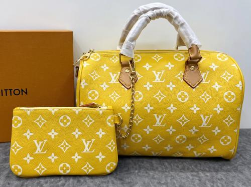 Louis Vuitton bag