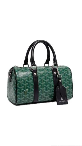 goyard Handbag green