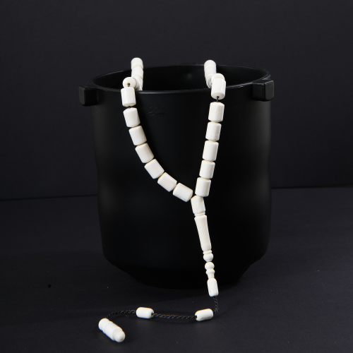 White ivory bone